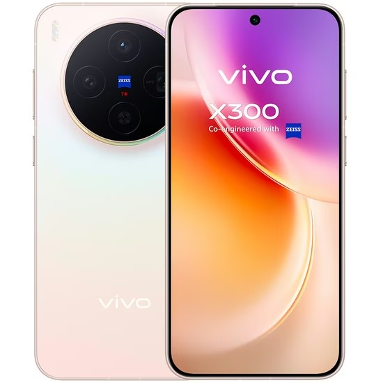 Vivo X300