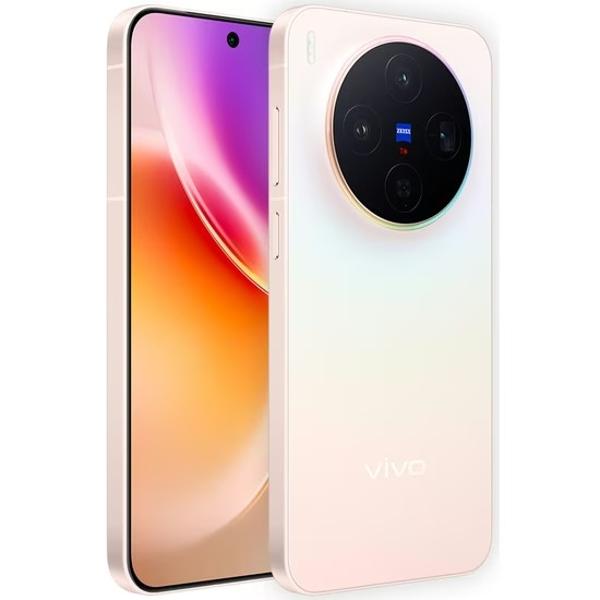 Vivo X300