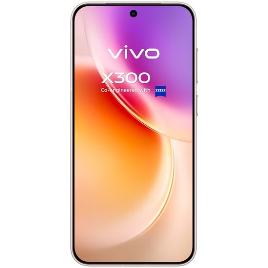 Vivo X300