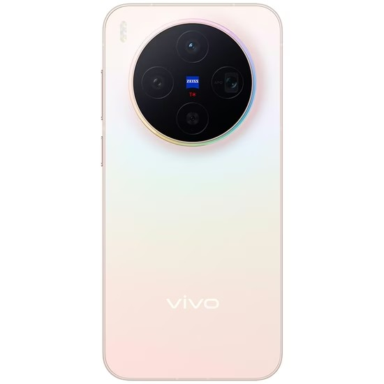 Vivo X300