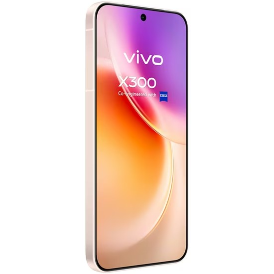 Vivo X300