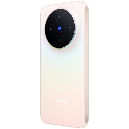 Vivo X300