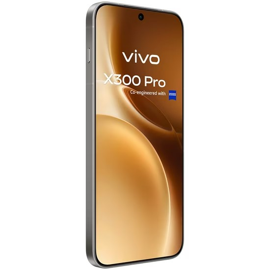 Vivo X300 Pro