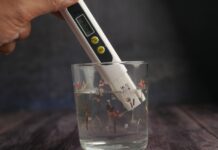 The TDS Meter Guide: How to Check Your Water Quality at Home