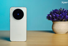 Vivo X300 Review: Small Phone, Serious Flagship Ambitions Vivo X300 back design showing circular camera module with Zeiss branding (Source: Yetnesh Dubey / XpertPick)